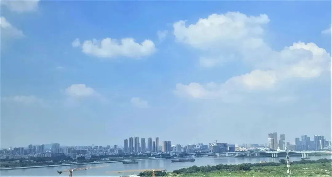大湾区产教联盟2022年大事记