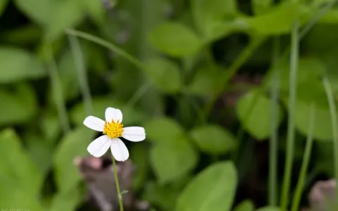 想过吗，你身边某个东西可能是一个密码？解开它改变一切