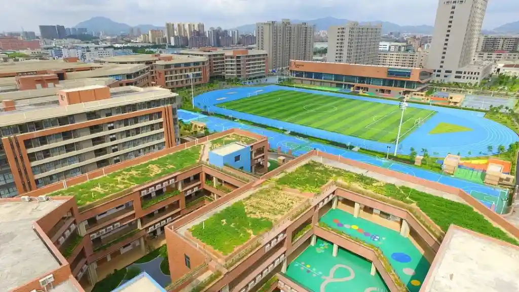 广东省东莞市东华高级中学&广东省东莞市东华松山湖高级中学2023年招聘教师启事