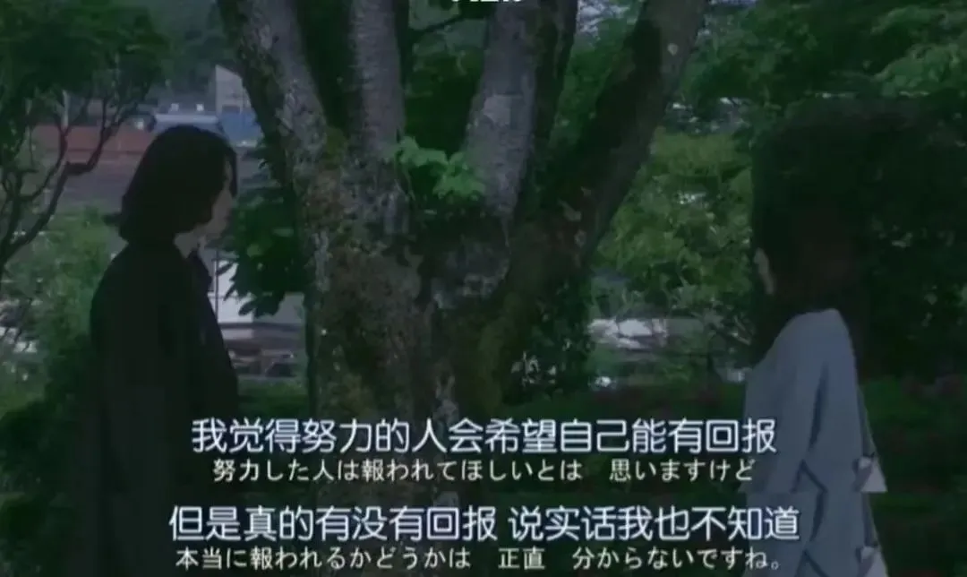 內(nèi)容圖片