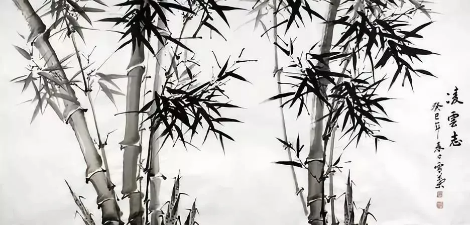 成功三大定律：荷花定律、金蝉定律、竹子定律 （建议收藏）