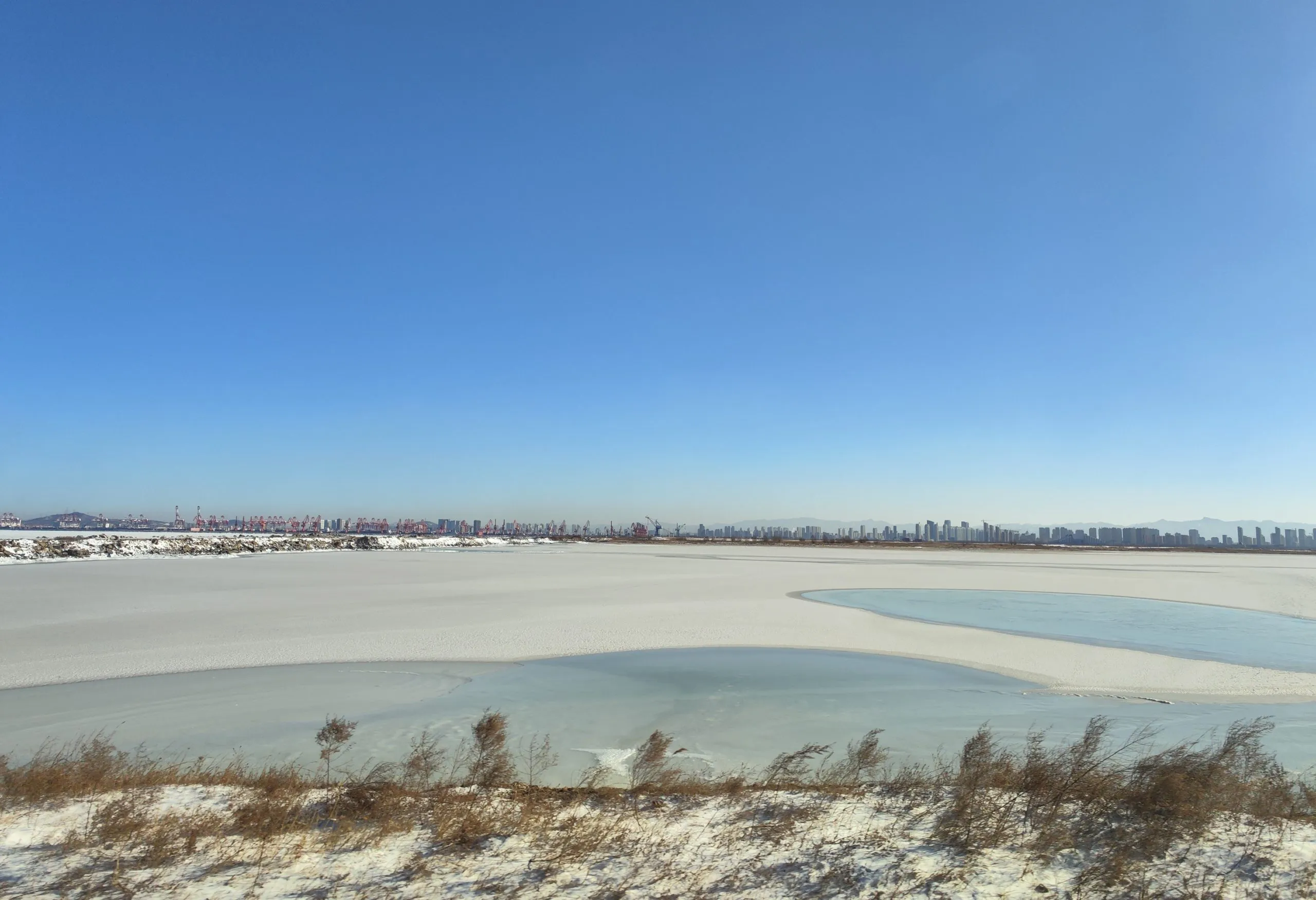 产教联盟有大事｜东北区域中心落户营口市