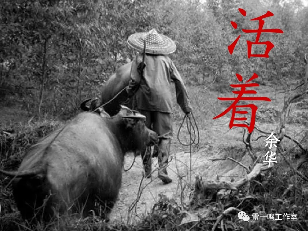 清华才女短暂的一生!