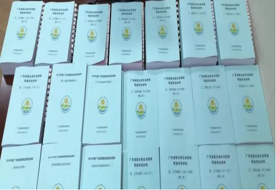 广东省湖南攸县商会2023年度工作总结报告