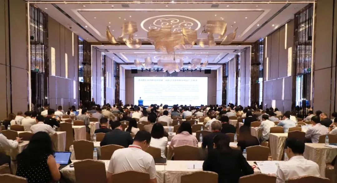 大湾区产教联盟参加2024人才高峰论坛