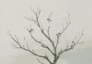 有没有人会突然之间顿悟,从而看透生命和宇宙的真相呢?