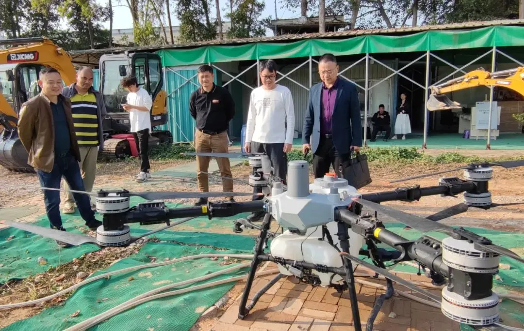 大红糯 ︳荔枝天团加入大湾区产教联盟