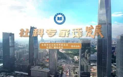 陈标新接受东莞广播电视台专访