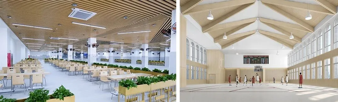 揭阳市华南司法职业学校2025年招生简章