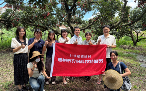 高校师生走进沥林镇，电商直播让荔枝“甜”出新高度