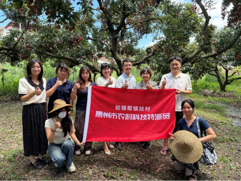 高校师生走进沥林镇,电商直播让荔枝“甜”出新高度