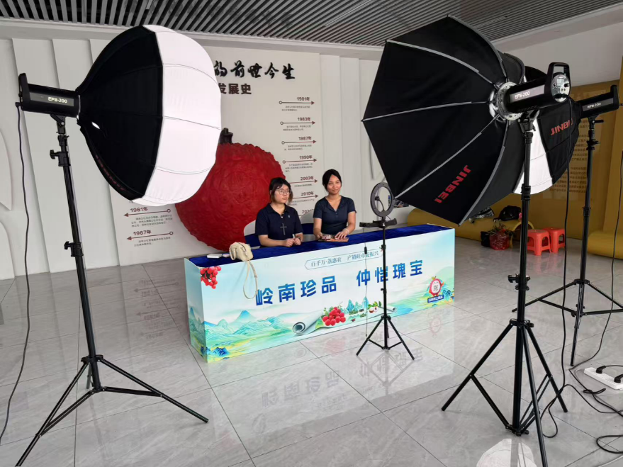 高校师生走进沥林镇，电商直播让荔枝“甜”出新高度