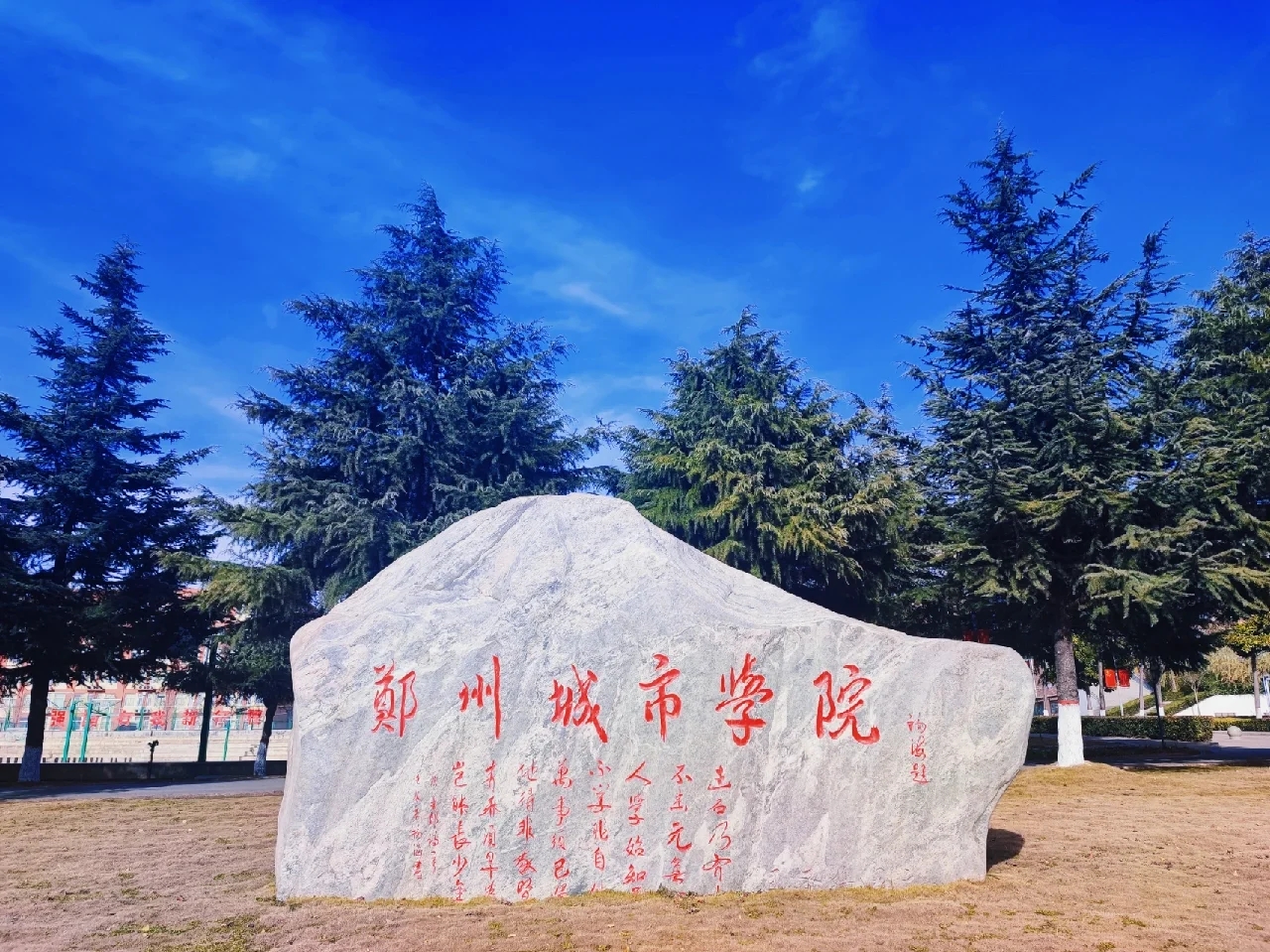 1770045905-935c00d089ee7a2c03de5c58c53788d9