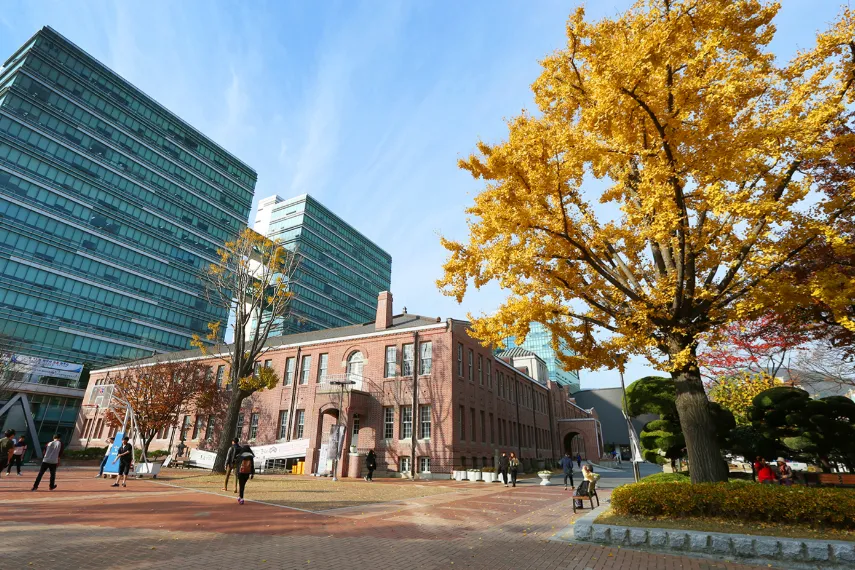 韓國東亞大學(xué)代表到訪河南博思云科教，共話合作新機(jī)遇
