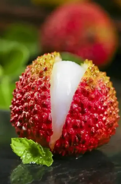 品牌新章｜荔味联：荔蕴朝气，味藏力量，联耀梦想