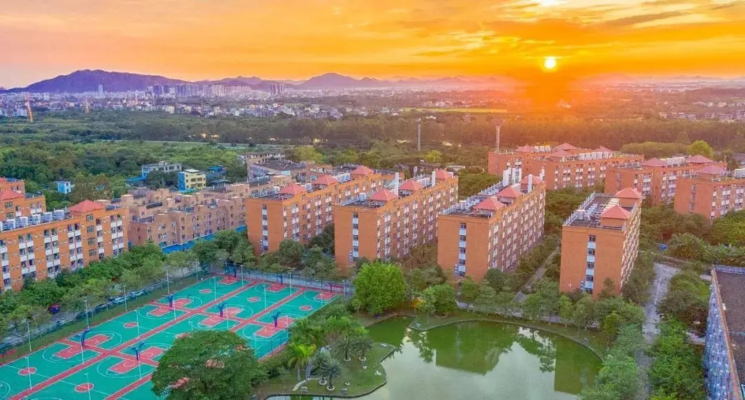 逆势大涨 421% 背后：广州南洋理工职业学院人才培养体系的范本价值