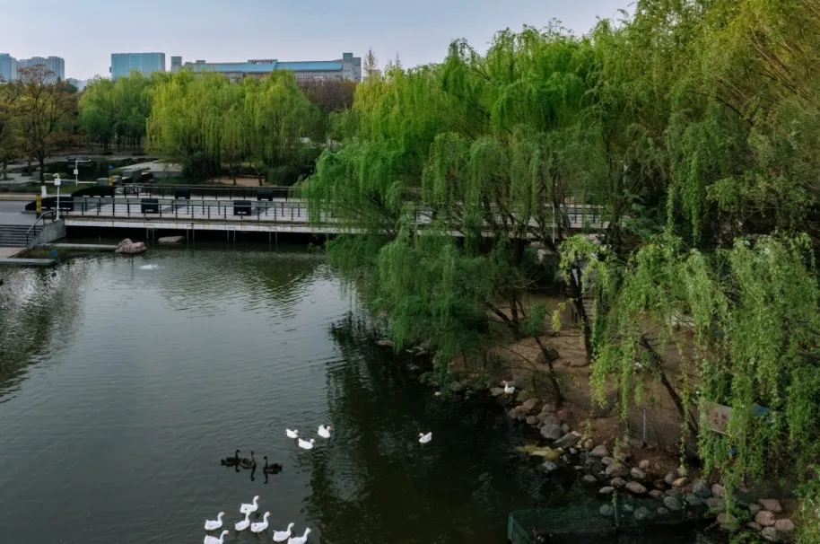河南同等学力申硕：低成本搭建行业人脉圈，兼顾学历提升与资源拓展